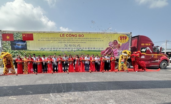 首批番薯通过正贸渠道出口中国