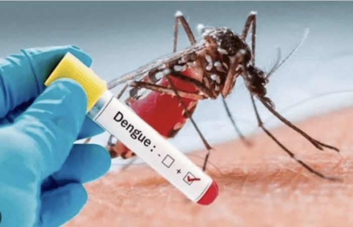 阿根廷登革热疫情创纪录