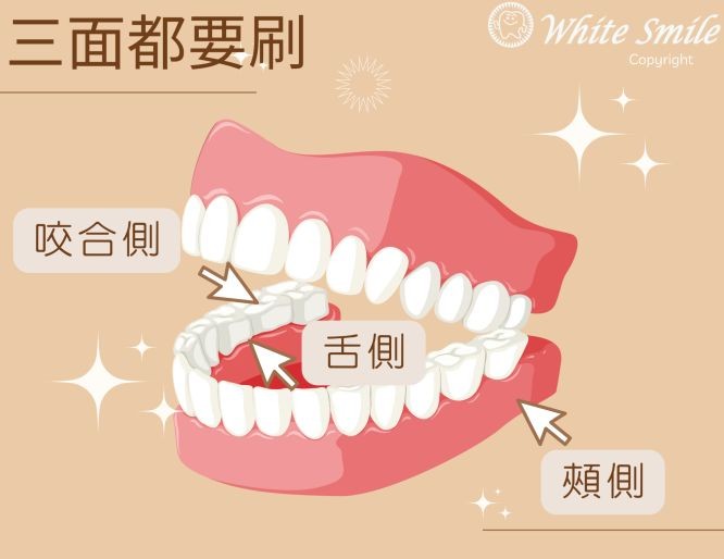 刷牙重点区域千万别放过