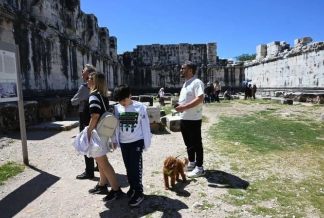 希腊多处古迹将允许宠物进入。（图：互联网）