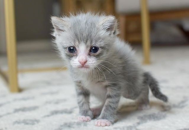 （示意图：互联网）