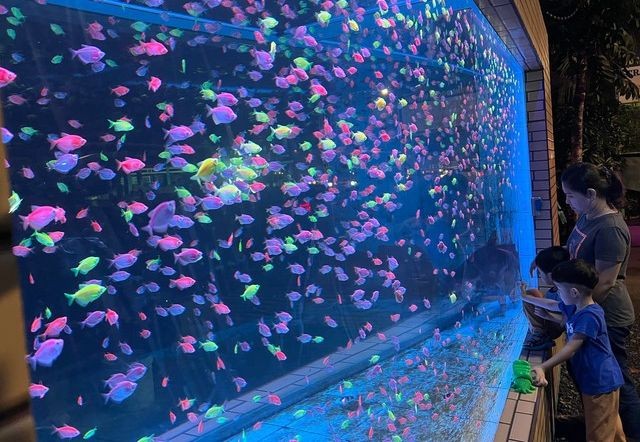 伦哥的“超大”鱼缸获摆放在自家门前。