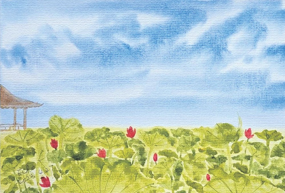 映日荷花别样红 何惠梅 画