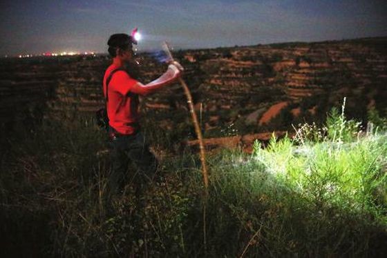 （示意图：互联网）