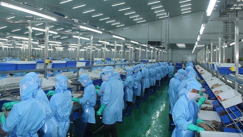 为水产品出口活动纾困解难