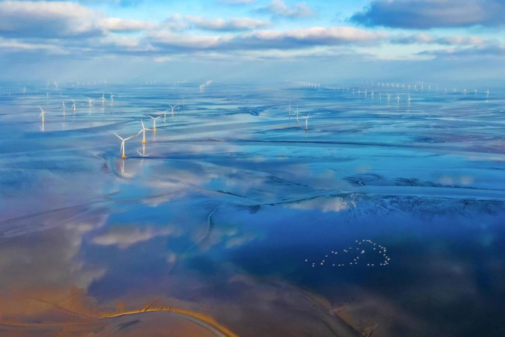 近海风电场。（示意图：互联网）