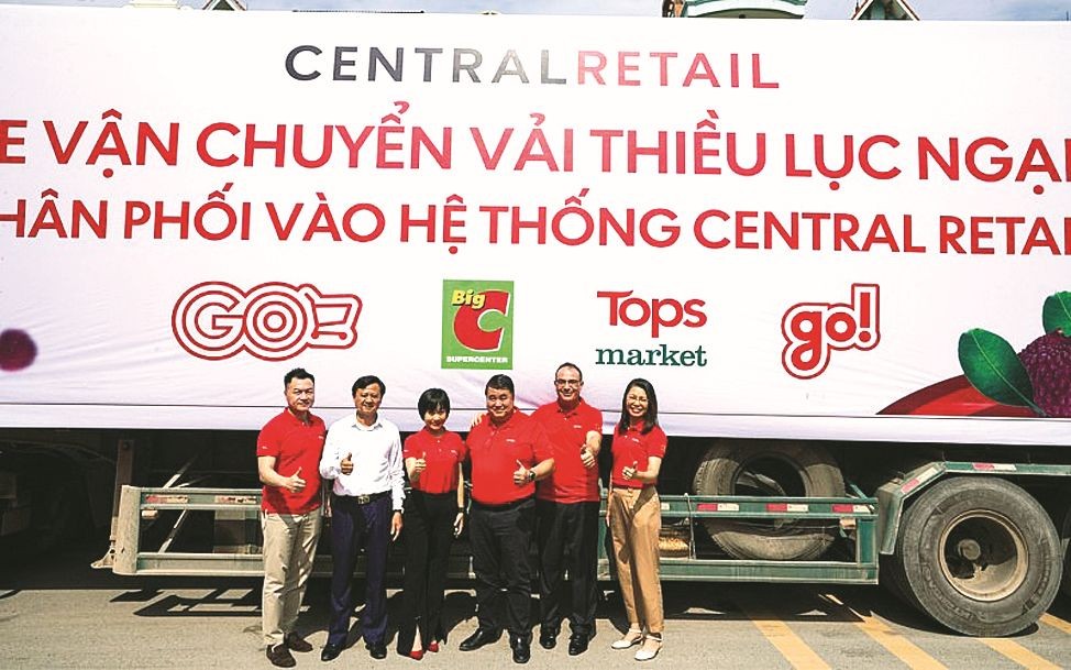 北江省荔枝进军超市经销系统