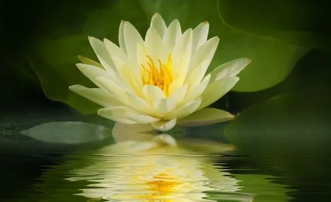 （示意图：互联网）