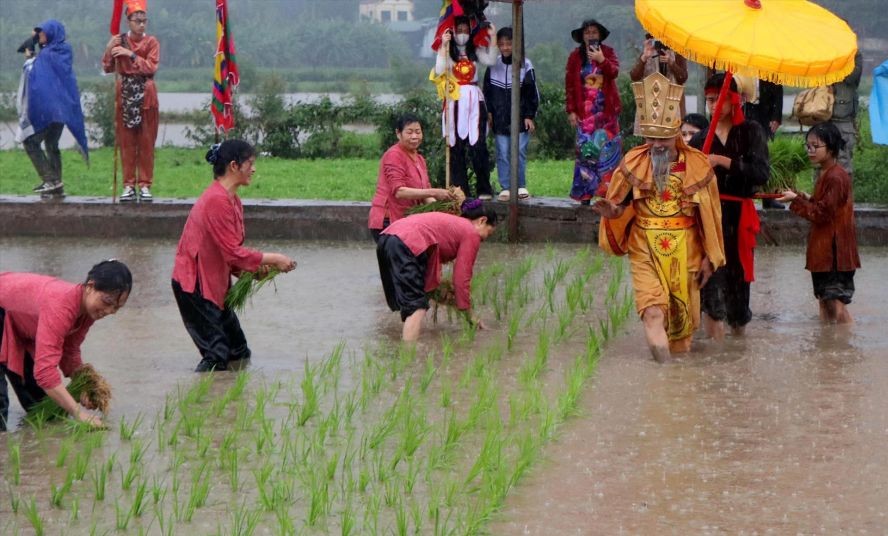 2023年2月5日，富寿省越池市明农坊籍田礼的雄王教百姓种稻节，缅怀历代雄王建国卫国功业和表达感恩之情。