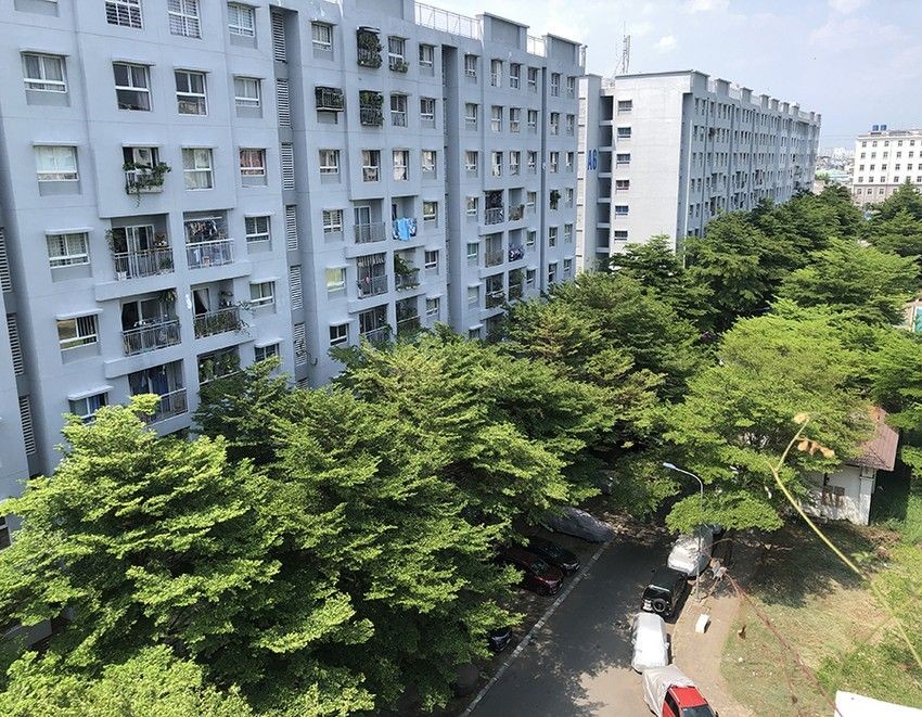 建议开发采用出租方式的社会住房项目，以良好地为低收入人群提供住房辅助。图为本市的一个社会住房项目 。