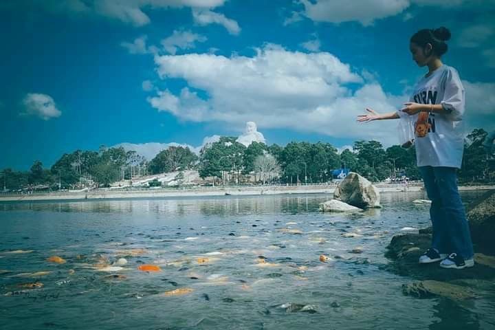 禁山山顶的名胜风景已指定一个“更复杂”的眼界。他们不会只等着天赋的“遗产”
