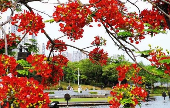 （示意图：互联网）