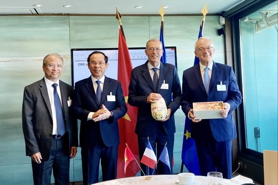 欢迎法企参与开发西贡河畔劳务