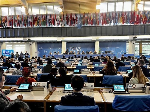 会议场景。（图：越通社）