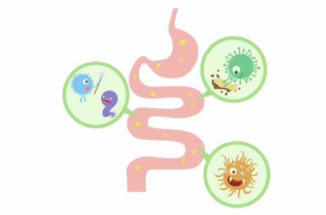 肠道菌群失调别忽视