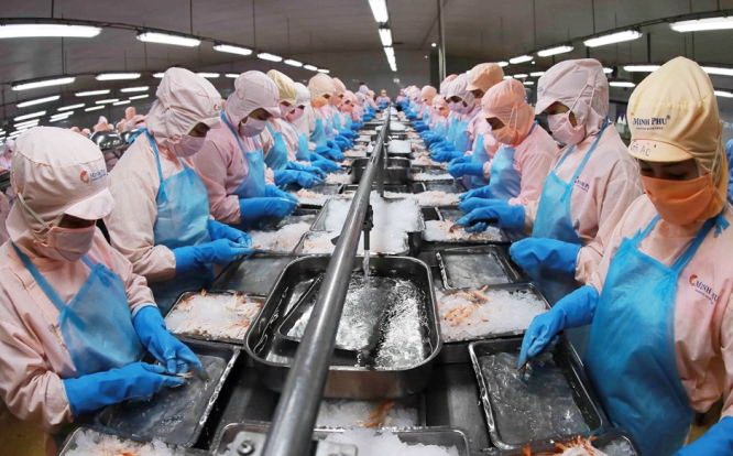 水产为越南主力出口产品之一。（图：越通社）