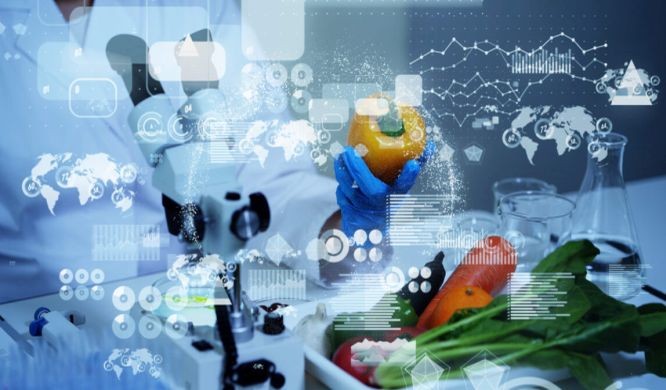 辅助食品企业数字化转型。（示意图：互联网）