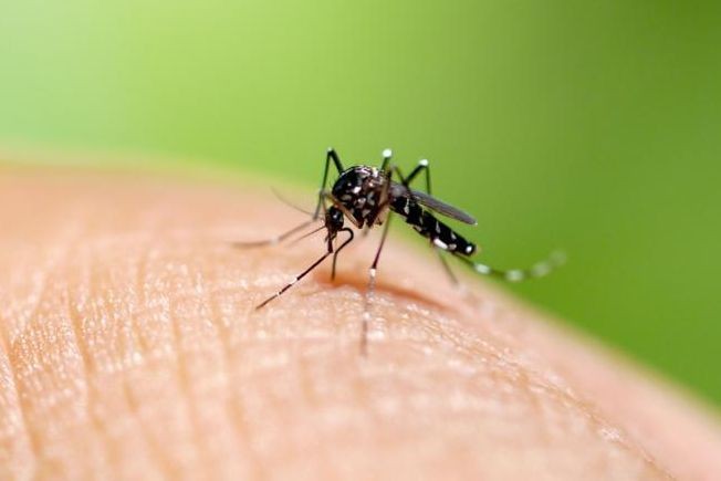 （示意图：互联网）