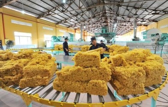 许多橡胶出口企业因未获退税而面临困境。