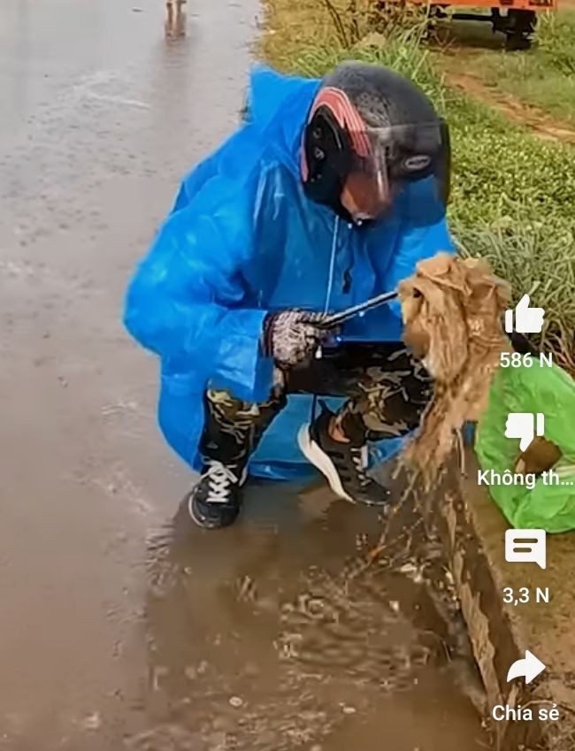 街道受淹部分原因乃人为