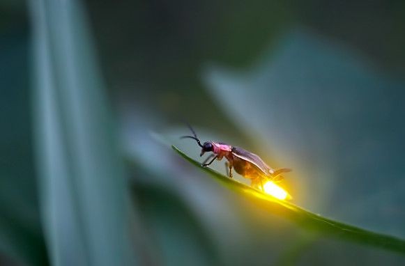 （示意图：互联网）