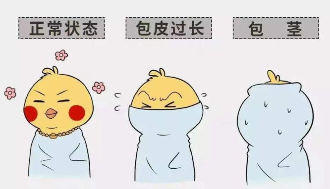 孩子做包皮手术注意事项