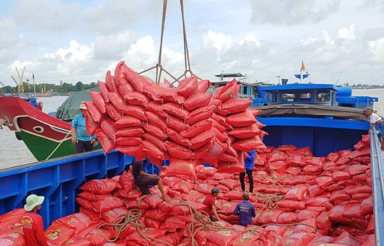 出口大米装卸。