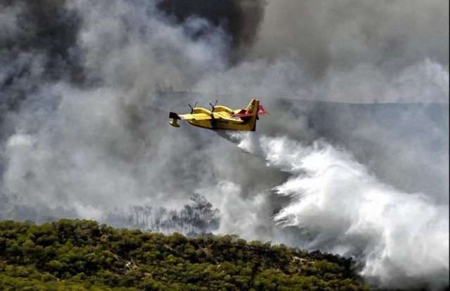 当地消防部门当天派出了295名消防员、7架飞机以及5架直升机来扑灭这场野火。（图：互联网）