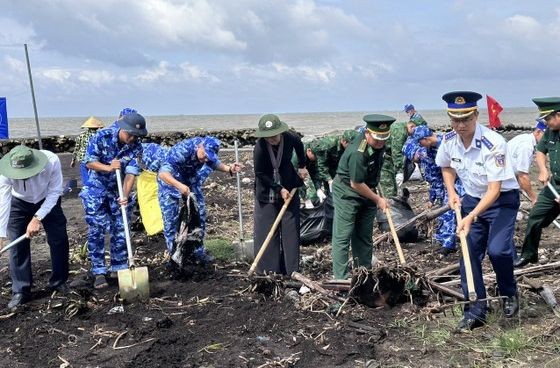 携手净化芹耶海滩