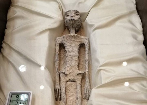 “外星生物”遗骸