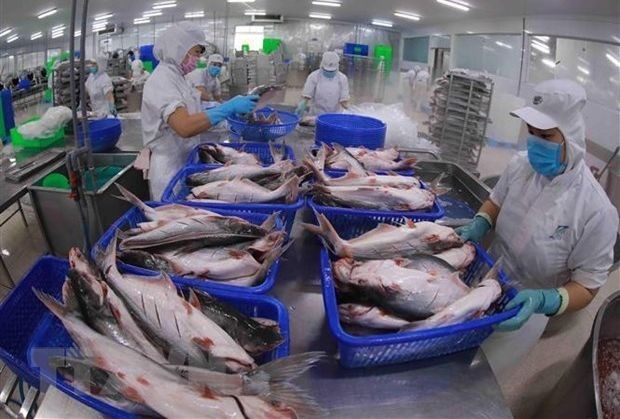加工及出口查鱼。