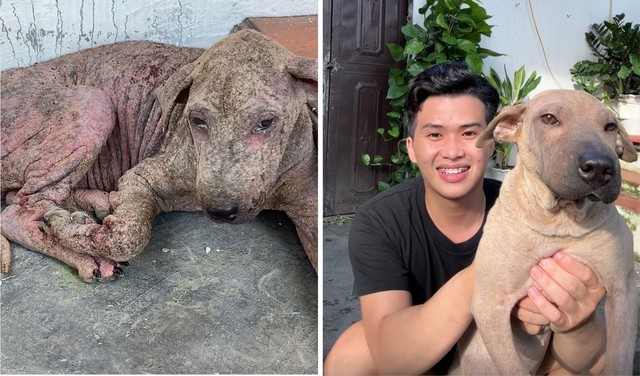 前后两个月的阿沙和新主人许春一。