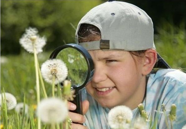 （示意图：互联网）