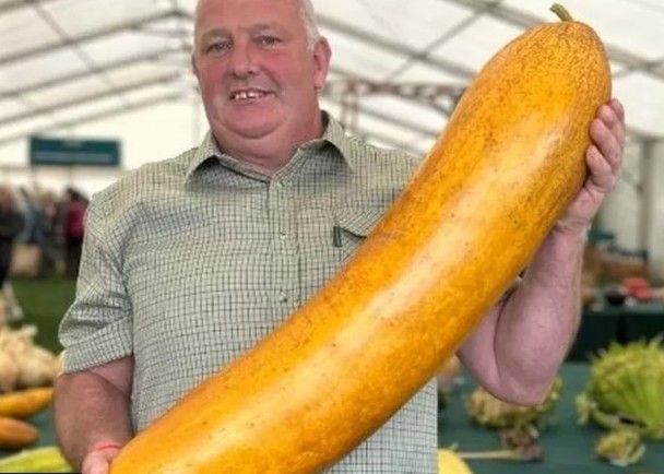 男子种逾 13 公斤最重青瓜