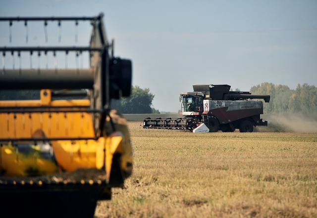9月19日，俄罗斯新西伯利亚州。（图：互联网）
