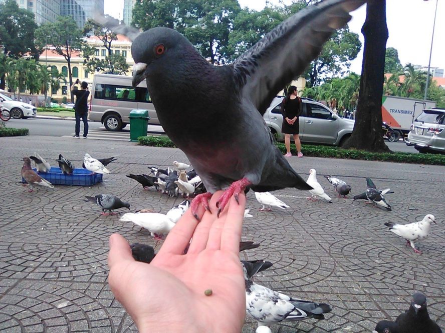 （示意图：互联网）