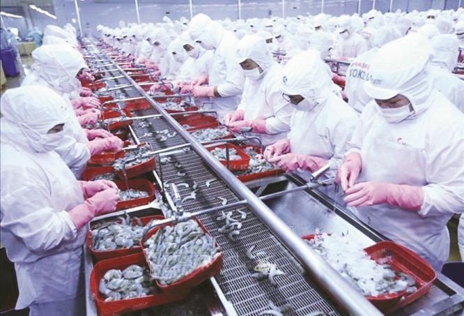 越南虾只外销各地市场。（图：Vietnamplus）