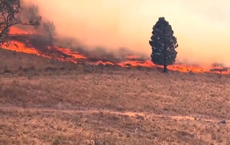 澳洲今年林火季提前到来