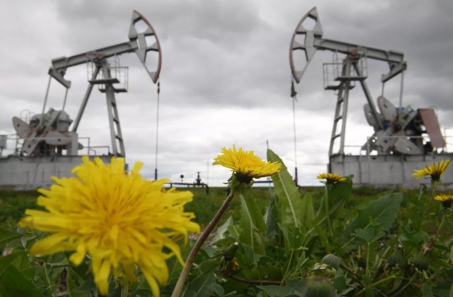 俄副总理：俄方将自愿削减单日30万桶原油供应举措延期至2023年年底。（图：Sputnik）