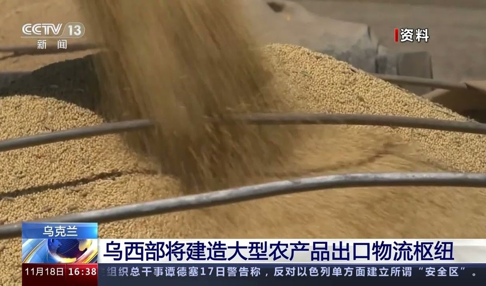 （图：CCTV 视频截图）