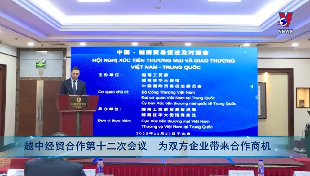 （图：VNews 视频截图）