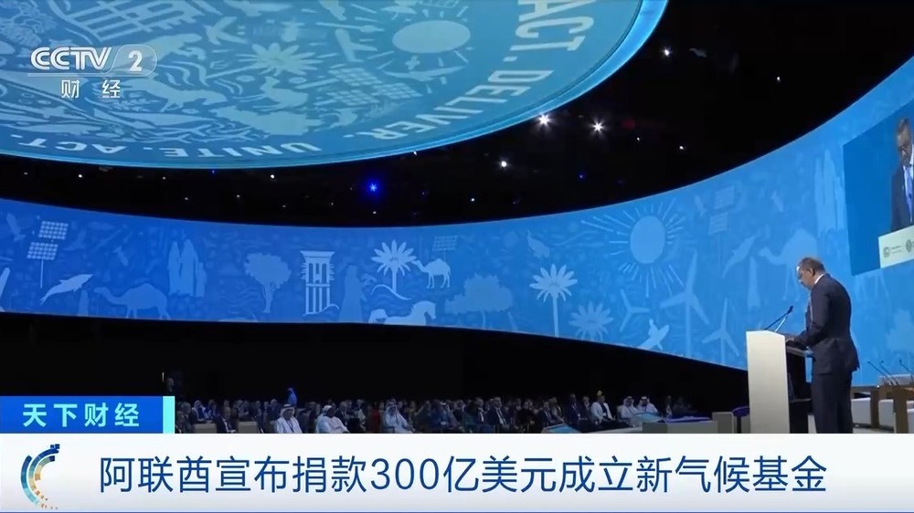 （图：CCTV 视频截图）