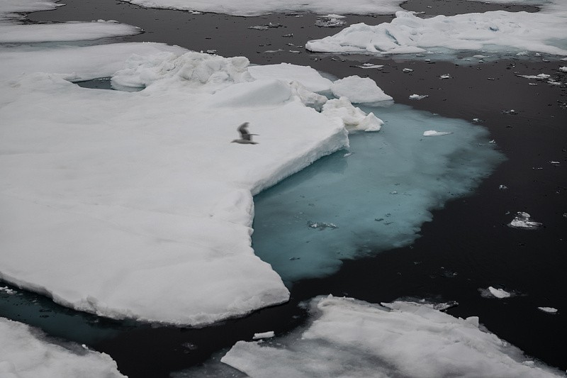北极各地区的强降水不断刷新纪录，2022年至2023年泛北极地区的降水量为有记录以来第六高。（图：互联网）