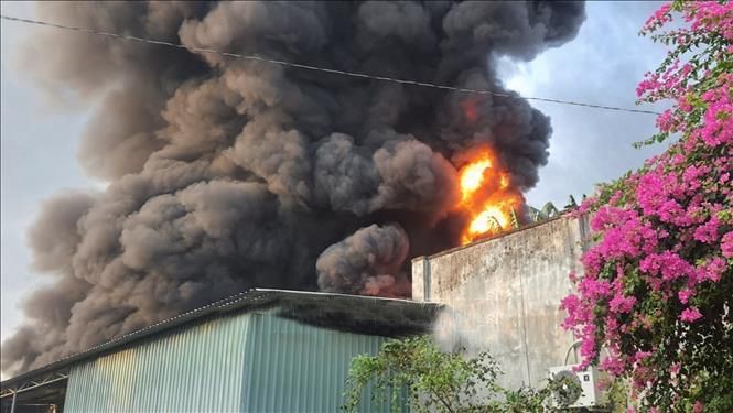 平阳省及时扑灭泡沫工厂火警