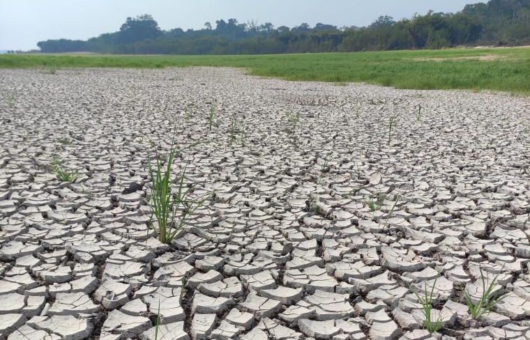 这是2023年11月17日在巴西亚马孙州阿卡贾图巴湖畔拍摄的干旱土地。（图：新华社）