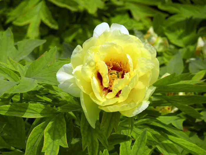 （示意图：互联网）