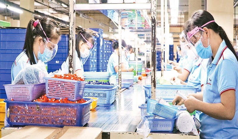 新平郡新造工业区天龙集团的生产活动。