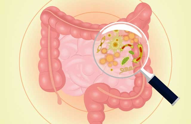 （示意图：互联网）