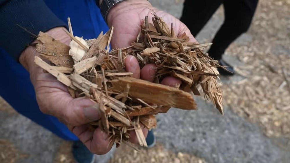 日本的一些公司正研究利用木材废料生产乙醇并计划自2027年开始量产。（示意图：互联网）