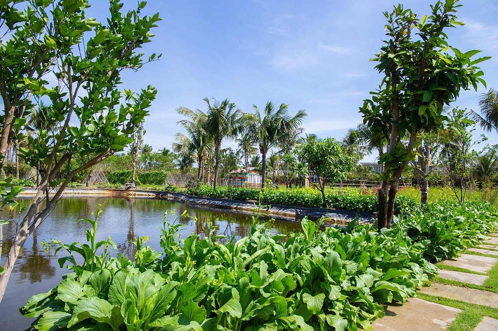 为可持续发展酒店旅遊业作努力